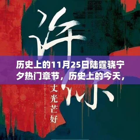 歷史上的11月25日陸霆驍寧夕熱門章節，歷史上的今天，陸霆驍與寧夕的逆襲章節——學習改變命運，自信鑄就輝煌