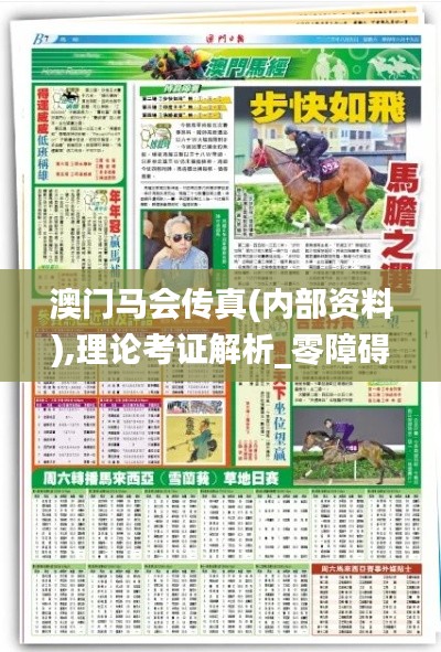 澳門馬會傳真(內部資料),理論考證解析_零障礙版VPC9.61