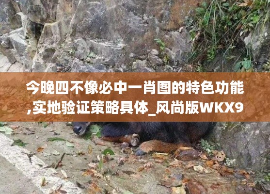 今晚四不像必中一肖圖的特色功能,實(shí)地驗(yàn)證策略具體_風(fēng)尚版WKX9.46