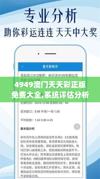 4949澳門天天彩正版免費(fèi)大全,系統(tǒng)評估分析_獲取版RMJ9.71