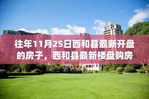 西和縣最新樓盤購房攻略，如何順利購買往年11月25日新開樓盤攻略及最新房源信息解讀