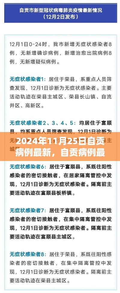 2024年11月25日自貢病例最新情況詳解，全方位了解與應(yīng)對步驟