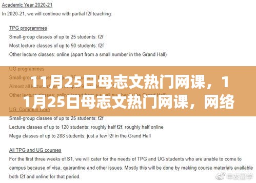 母志文熱門網課，網絡教育的雙刃劍效應探討