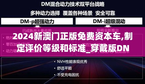 2024新澳門正版免費資本車,制定評價等級和標準_穿戴版DNC9.86