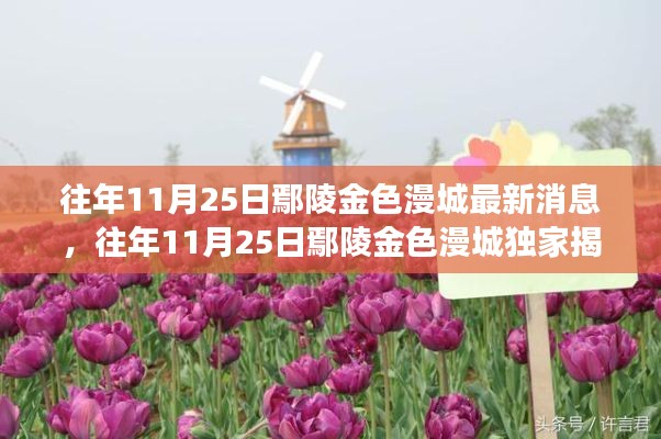 往年11月25日鄢陵金色漫城，獨(dú)家消息與深度洞察