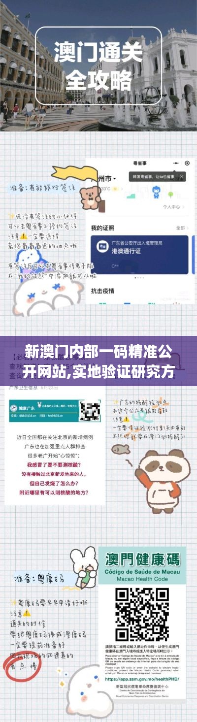 新澳門內(nèi)部一碼精準(zhǔn)公開網(wǎng)站,實(shí)地驗(yàn)證研究方案_便攜版SXO9.41