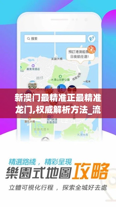 新澳門最精準正最精準龍門,權威解析方法_流線型版APT9.9