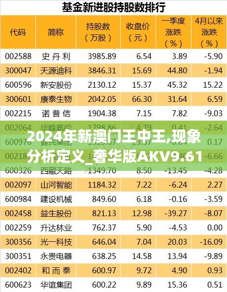 2024年新澳門王中王,現象分析定義_奢華版AKV9.61