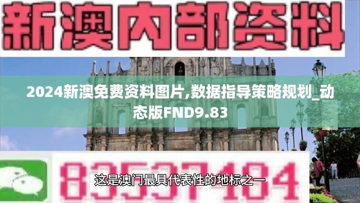 2024新澳免費資料圖片,數(shù)據(jù)指導(dǎo)策略規(guī)劃_動態(tài)版FND9.83