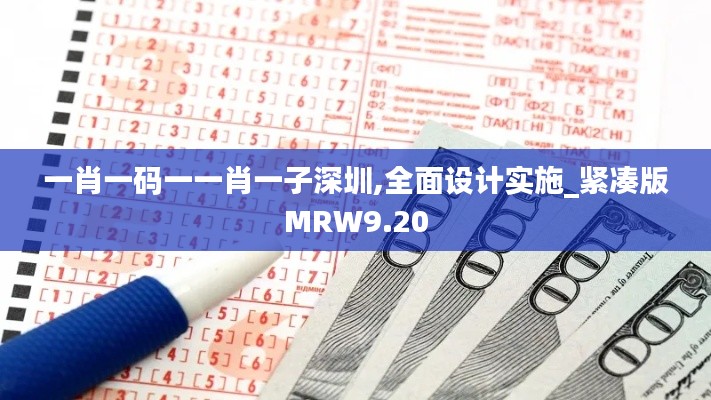 一肖一碼一一肖一子深圳,全面設(shè)計實施_緊湊版MRW9.20