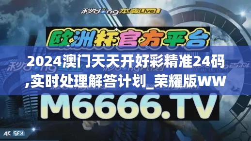2024澳門天天開好彩精準(zhǔn)24碼,實(shí)時(shí)處理解答計(jì)劃_榮耀版WWP9.68