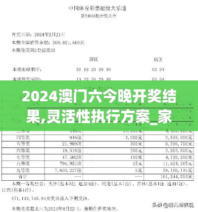 2024澳門六今晚開獎結(jié)果,靈活性執(zhí)行方案_家庭版YZQ9.51