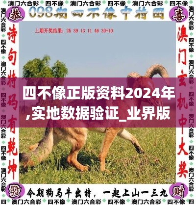 四不像正版資料2024年,實地數據驗證_業界版PEB9.18