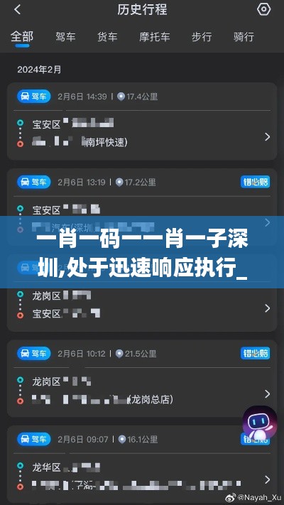 一肖一碼一一肖一子深圳,處于迅速響應執(zhí)行_旅行版APB9.29