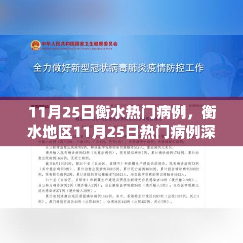 衡水地區11月25日熱門病例深度解析與背景探討，事件及其影響分析