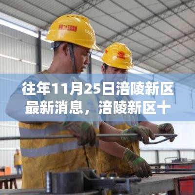 涪陵新區最新進展報告，深度解讀三大要點，十一月二十五日最新消息速遞