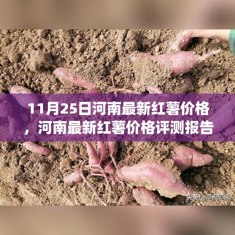 河南最新紅薯價格報告，深度解析市場趨勢與產(chǎn)品特性