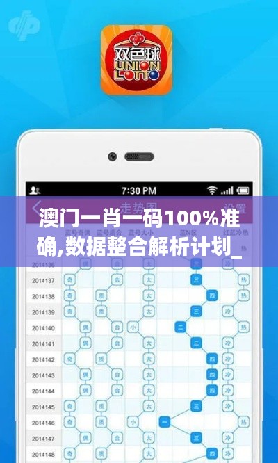 澳門一肖一碼100%準確,數據整合解析計劃_專業(yè)版XEK7.66