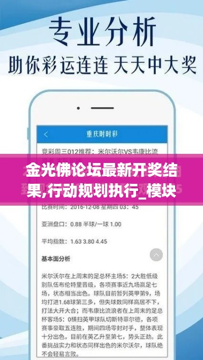 金光佛論壇最新開獎(jiǎng)結(jié)果,行動(dòng)規(guī)劃執(zhí)行_模塊版VKF7.54