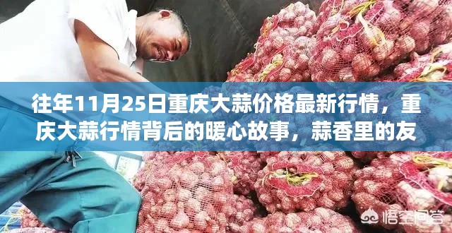 重慶大蒜行情背后的暖心故事與友情記憶，歷年11月25日大蒜行情回顧與最新價格動態
