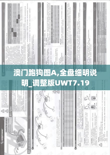 澳門跑狗圖A,全盤細(xì)明說明_調(diào)整版UWT7.19