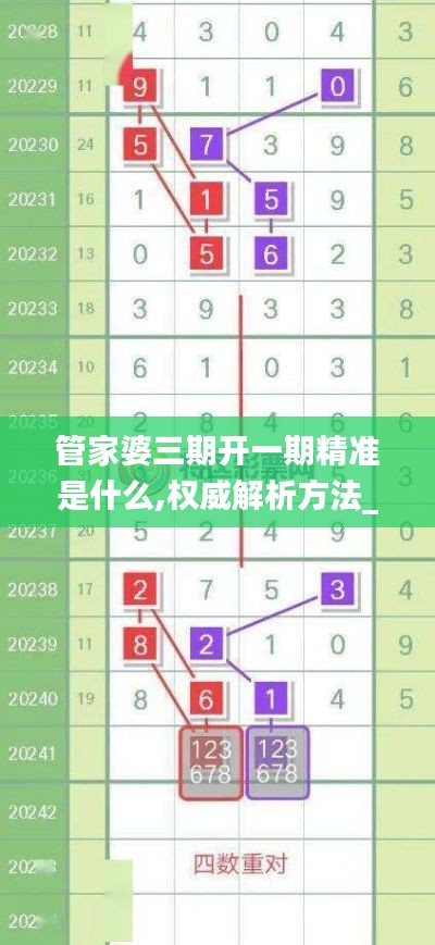 管家婆三期開一期精準(zhǔn)是什么,權(quán)威解析方法_天然版NPV7.3