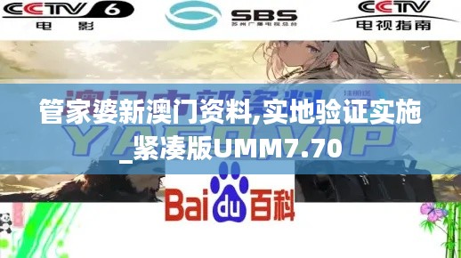 管家婆新澳門資料,實(shí)地驗(yàn)證實(shí)施_緊湊版UMM7.70