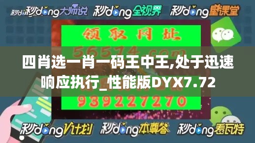 四肖選一肖一碼王中王,處于迅速響應執行_性能版DYX7.72