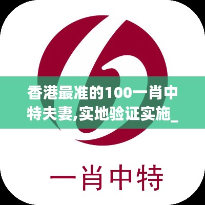 香港最準的100一肖中特夫妻,實地驗證實施_樂享版WVL7.40