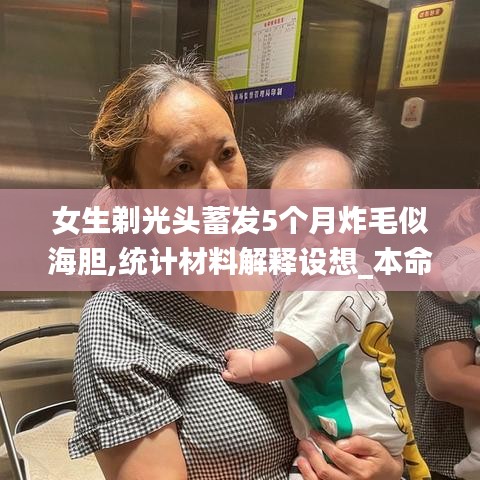 女生剃光頭蓄發(fā)5個月炸毛似海膽,統(tǒng)計材料解釋設(shè)想_本命境XIN7.94