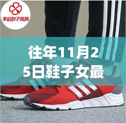 往年11月25日鞋子女最新選購(gòu)指南，初學(xué)者與進(jìn)階用戶的時(shí)尚舒適之選