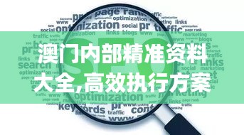澳門內(nèi)部精準資料大全,高效執(zhí)行方案_兒童版SEP7.72