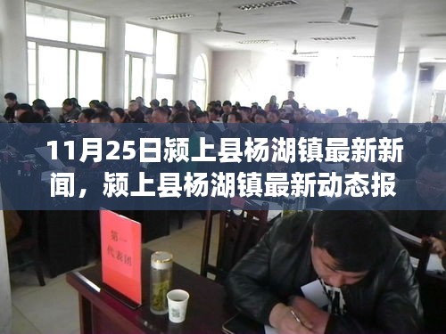 潁上縣楊湖鎮11月25日發展亮點及最新動態報道