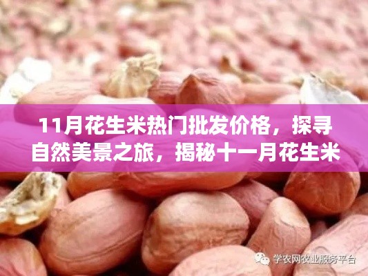 不求甚解 第4頁