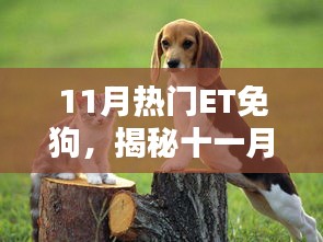 揭秘十一月熱門ET免狗趨勢，引領潮流的新寵兒風潮