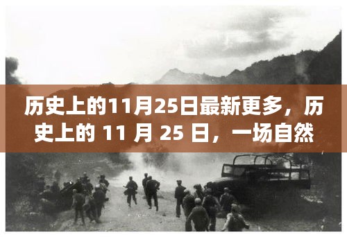 歷史上的11月25日，自然美景探險(xiǎn)之旅，追尋內(nèi)心的寧?kù)o與平和