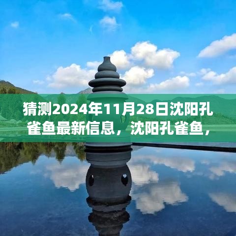 沈陽(yáng)孔雀魚(yú)未來(lái)展望，探尋歷史與未來(lái)的交織之美，預(yù)測(cè)2024年11月最新信息揭秘