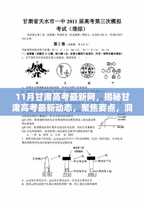 聚焦甘肅高考最新動態，揭秘要點、洞悉趨勢