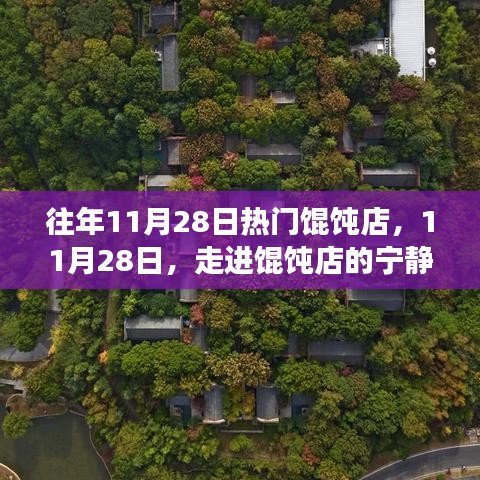 11月28日餛飩店的寧?kù)o秘境，自然美景的邂逅之旅