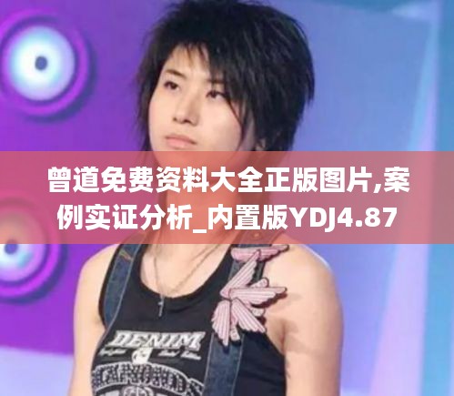 曾道免費資料大全正版圖片,案例實證分析_內(nèi)置版YDJ4.87