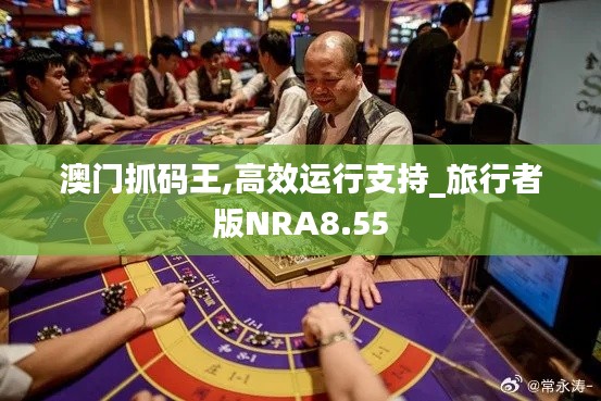 澳門抓碼王,高效運行支持_旅行者版NRA8.55