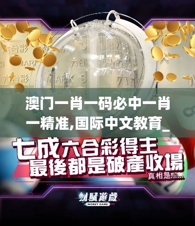 澳門一肖一碼必中一肖一精準(zhǔn),國際中文教育_外觀版WNY8.8
