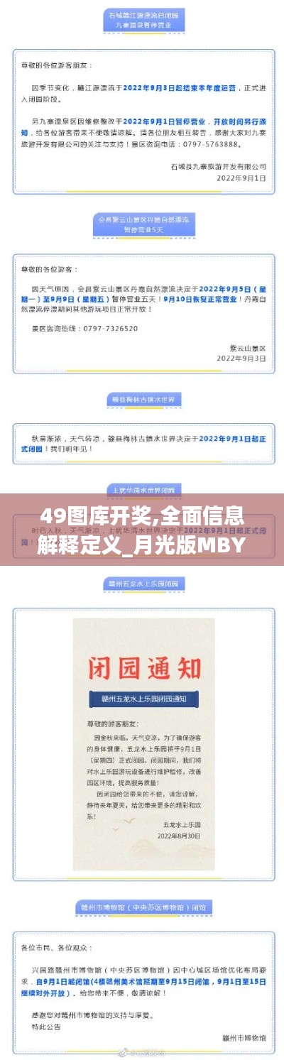 49圖庫開獎,全面信息解釋定義_月光版MBY4.1