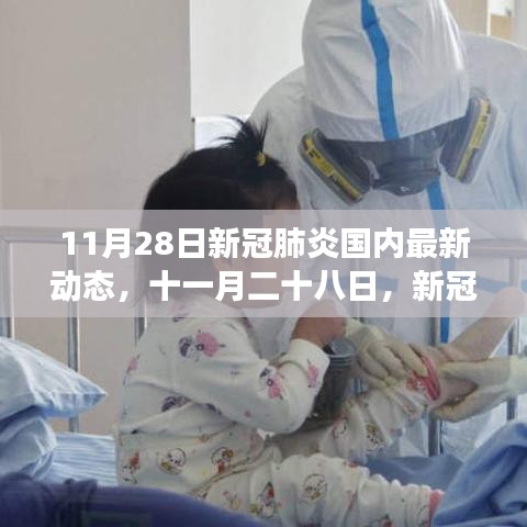 11月28日新冠肺炎國內最新動態，時代脈搏下的疫情更新