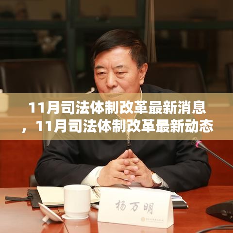 深化法治建設(shè)之路，11月司法體制改革最新動(dòng)態(tài)與消息速遞
