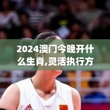 2024澳門(mén)今晚開(kāi)什么生肖,靈活執(zhí)行方案_高端體驗(yàn)版YWK4.94