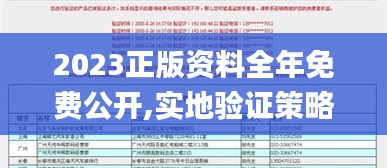 2023正版資料全年免費公開,實地驗證策略具體_經典版CGJ8.56