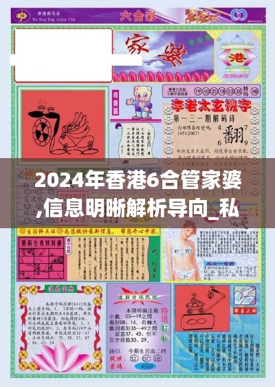 2024年香港6合管家婆,信息明晰解析導(dǎo)向_私人版XGV4.48