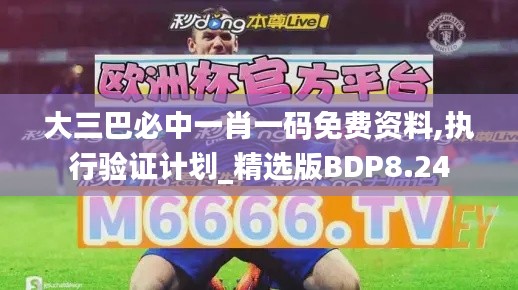 大三巴必中一肖一碼免費(fèi)資料,執(zhí)行驗(yàn)證計(jì)劃_精選版BDP8.24