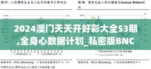2024澳門天天開好彩大全53期,全身心數(shù)據(jù)計(jì)劃_私密版BNC8.44